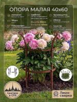 Опора для цветов и кустов малая 40х60 — изображение 4
